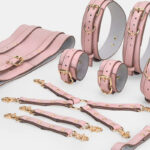 Pink Bondage Kit