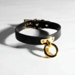 Leather O Ring Collar